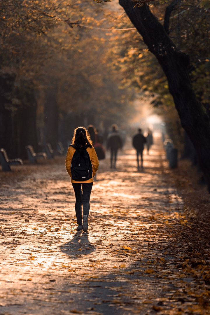 A woman walks through a sunlit park.