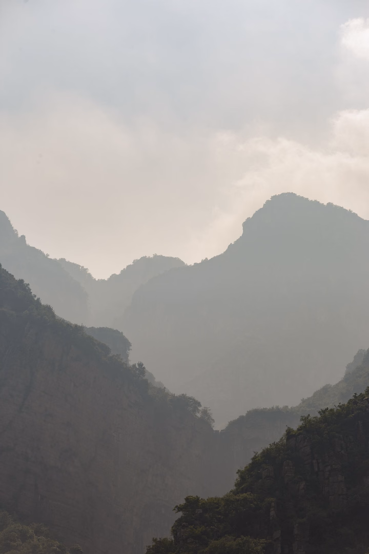 Nebel verhüllt eine bewaldete Berglandschaft.